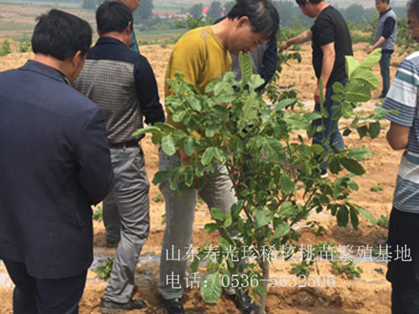 售后現場指導